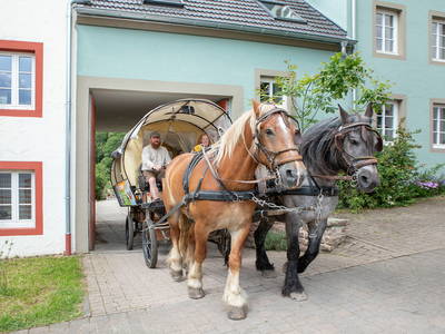 Bild 2 aus  Nengshof – Natururlaub in der Eifel