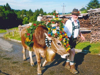 Bild 11 aus  Ferienhof Rasch