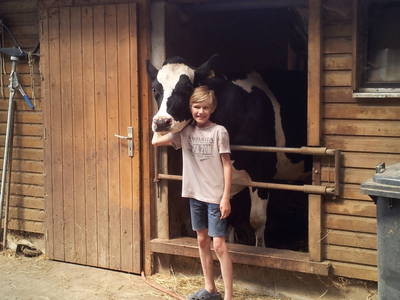 Bild 19 aus  Bauernhof Büchsenschütz