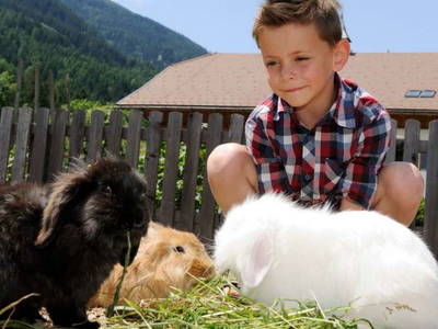 Bild 17 aus  LandSelection Landgut Moserhof