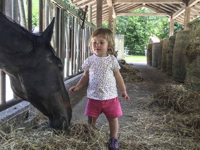 Bild 25 aus  LandSelection Gutshof Käppeler
