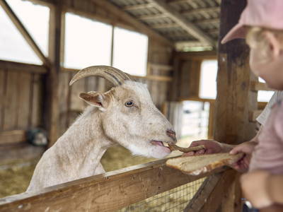 Bild 6 aus  LandSelection Schwarzfelder Hof