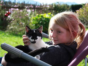 Bild 21 aus  Marksteinhof