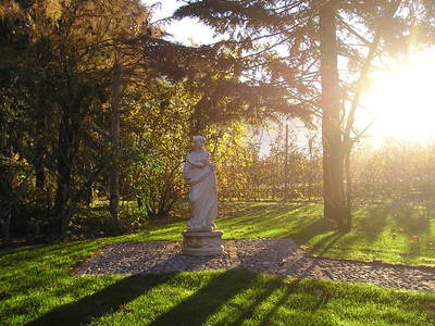 Morgenstimmung im Frühling