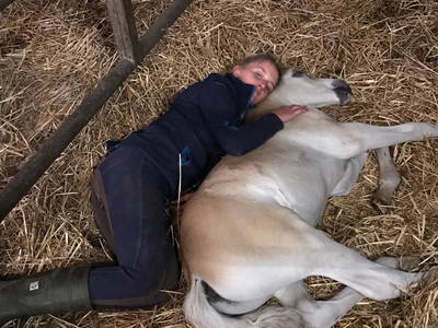 Bild 15 aus  Ferienhof Klaucke