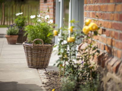 Bild 18 aus  Nordlichter