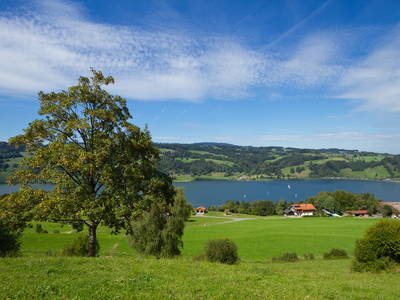 Bild 4 aus  Bergpension Christine