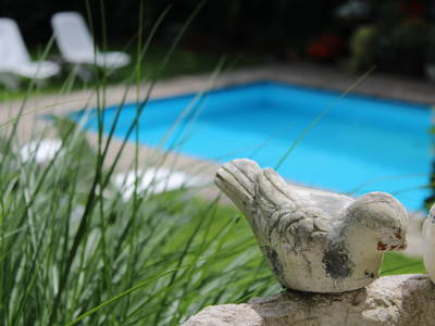 Bild 4 aus  Ferienwohnungen Innerhofer Riffian bei Meran - Adults Only