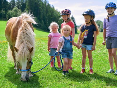 Bild 17 aus  LandSelection Hanznhof