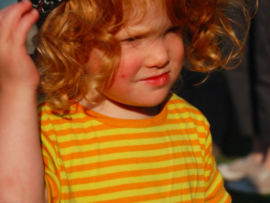 Bild 42 aus  Piratenhof Störtenbecker