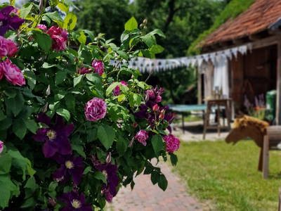 Bild 11 aus  Hof Alte Zeiten