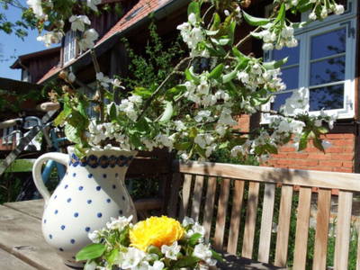 Bild 10 aus  Ferienhof Rauchhaus