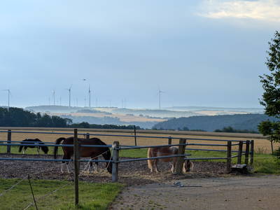 Bild 5 aus  Ferienbauernhof Gerig