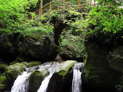 Bild 31 aus  Landgasthaus Hoffmann