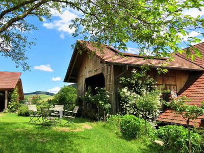 Bild 20 aus  „Hernis-Höfle“ Wohlfühlambiente im Elztal  5⭐️Sterneferien.