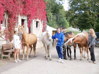 Bild 4 aus  Dachsmühle: Urlaub mit Pferd, Naturidylle, Ruhe, Auszeit
