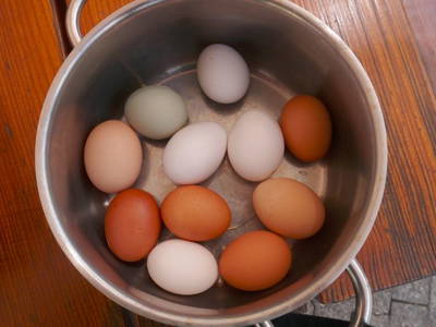 Bild 13 aus  Maierhof