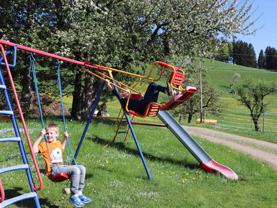 Bild 12 aus  Ferienhof Miller