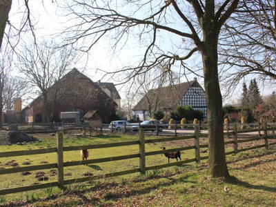 Bild 6 aus  Meyerhof