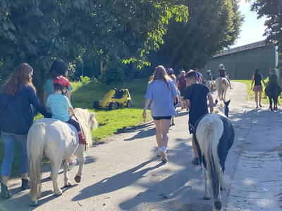 Bild 57 aus  Ferienhof Messer  Bauernhofurlaub  Ostseenähe  Ponys