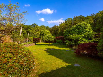 Bild 8 aus  Ferienwohnung am Halderner Wald
