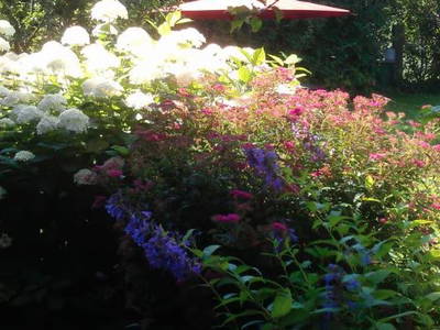 Bild 25 aus  Ferienhaus Zur Tenne