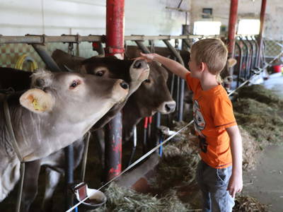 Bild 16 aus  Ferienhof Miller