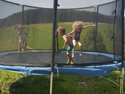 Bild 15 aus  Wendelhof