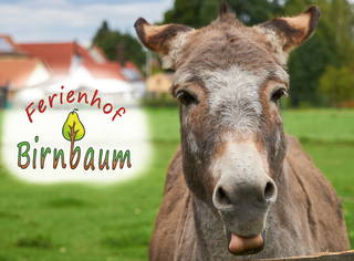 Ferienhof Birnbaum aus Weidenbach