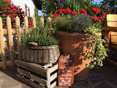 Bild 21 aus  Wofahanslhof