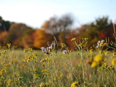 Bild 22 aus  Biohof Grafel - ein Ort, der verbindet