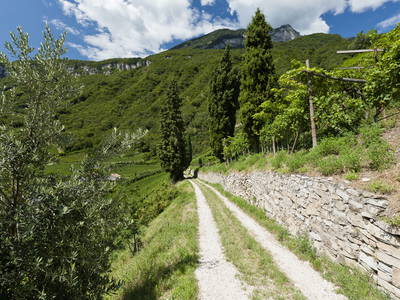 Bild 14 aus  Ferienwohnungen Grabmayrhof