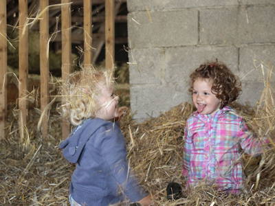 Bild 12 aus  Schellen Hof