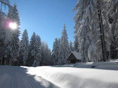 Bild 25 aus  Springhansenhof im Schwarzwald