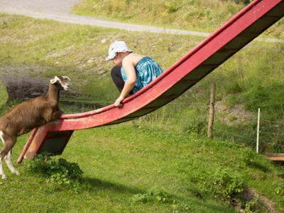 Bild 12 aus  Ferienhof  am Hennesee