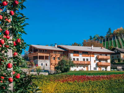 Bild 5 aus  Trinnerhof