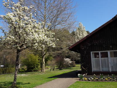 Bild 3 aus  Gästehaus St. Theresia