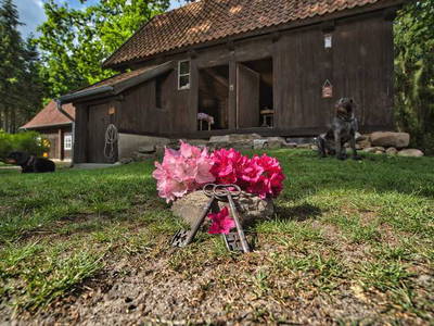 Bild 12 aus  LandSelection Drewes-Hof