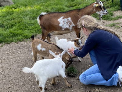 Bild 54 aus  Ferienhof Messer  Bauernhofurlaub  Ostseenähe  Ponys