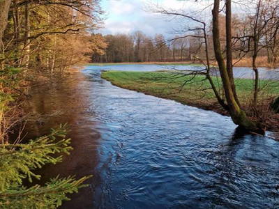 Bild 12 aus  Kreuger's Hof