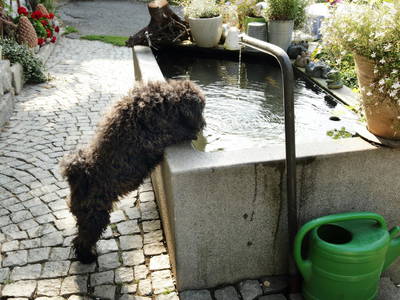 Bild 21 aus  Endlhof