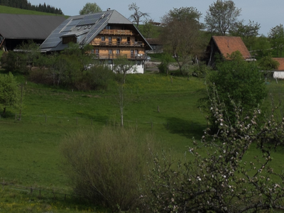 Bild 2 aus  Sigmundenhof