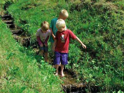 Bild 11 aus  Hanselehof