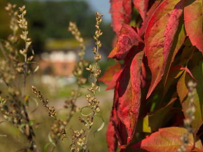 Bild 31 aus  Ferien am Schloss