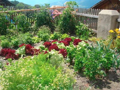 Bild 17 aus  Schnagererhof