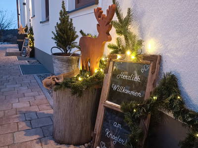 Bild 18 aus  Knoglerhof am Rinser See