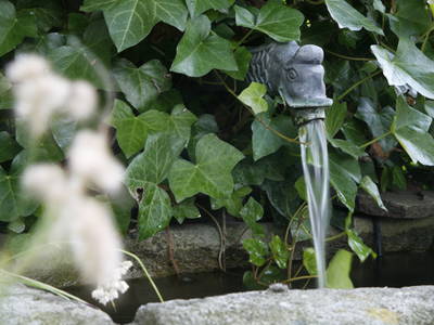 Bild 5 aus  Harms Hoff