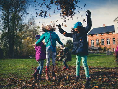 Bild 11 aus  Gut Pohnstorf