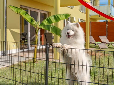 Terrasse Urlaub mit Hund