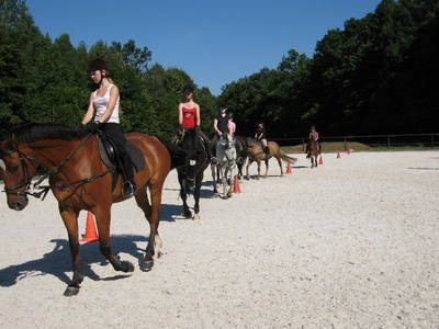 Bild 13 aus  Hof Carmshausen & Pension Hotze